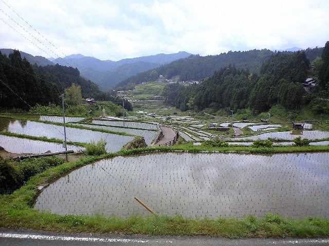 癒される～～～