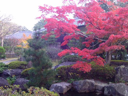 葉山しおさい公園内