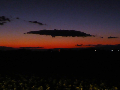 夕焼けだよ～ん