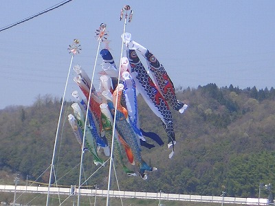こい