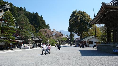 向こうと･･･