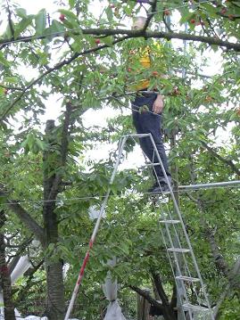 結構高さがある