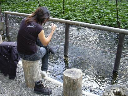 足を湧き水につけてみる