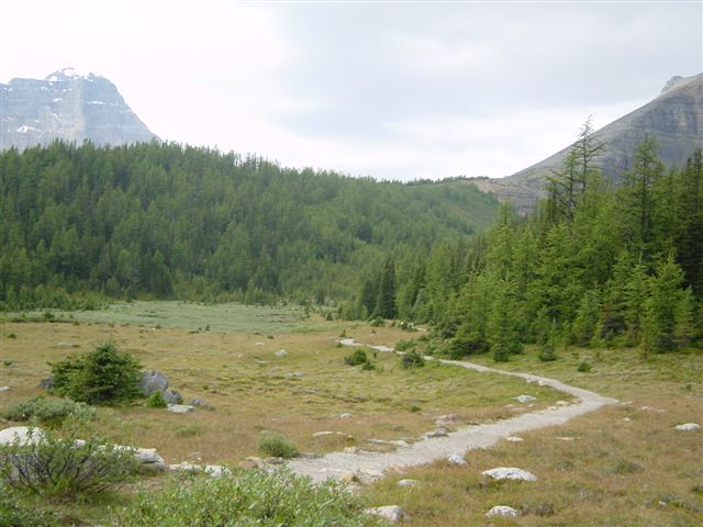 trail-2