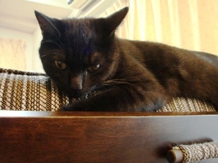 上から見てみよう