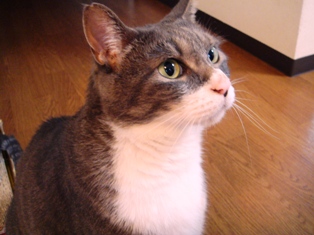 上からみるなよ