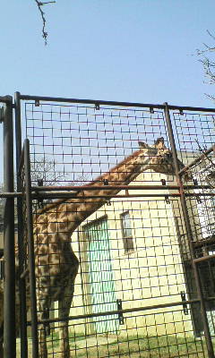 20100314103107.jpg