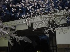 20080402-夜桜04-九段下