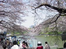 20080406-昼桜06-九段下