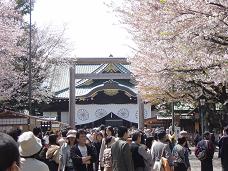 20080406-昼桜08-靖国神社