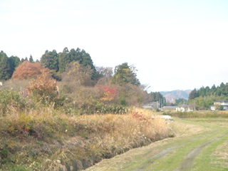 DSC01081.JPE