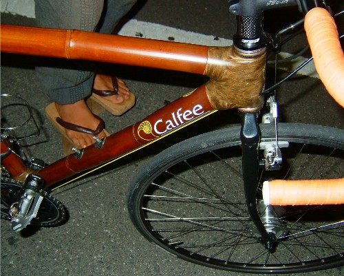 08-09-10桃源さん竹自転車.JPG