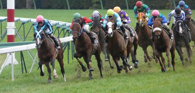 ツルマルボーイ | Vの馬券ヒッター!! - 楽天ブログ