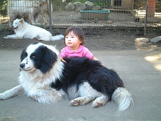 わんわん　だーいすき♪