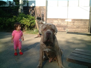 今年はあんたの年よ！