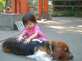 マッサージいたしましょう！