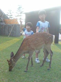 奈良公園