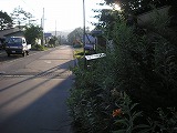 P8110252
