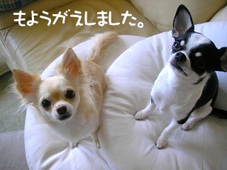 デジカメから３ 383.jpg