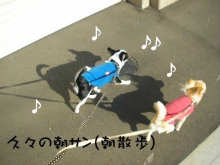 デジカメから２ 2113.jpg