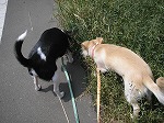 P6260210