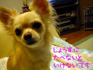 デジカメから２ 2109.jpg