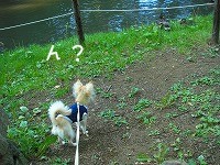 デジカメから２ 1793.jpg