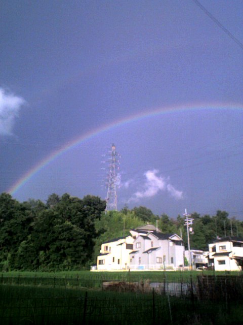 W虹