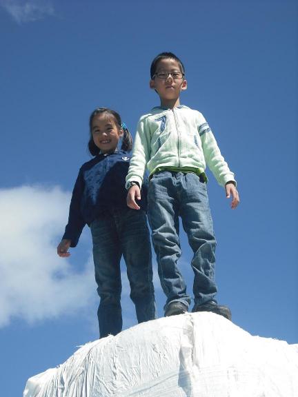 せいなご_牧場にて