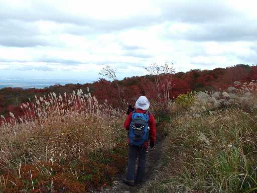 DSCF5040_512.JPG