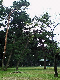 shikishima park