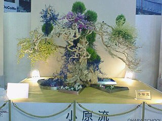 the art of flower arrangement