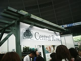 rose shop