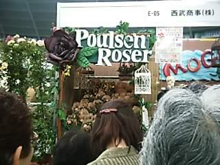 rose shop