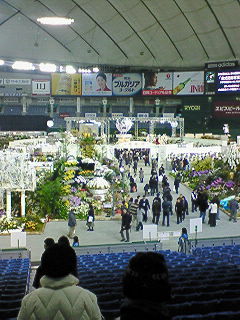 「International Orchid Festival」 at TokyoDome