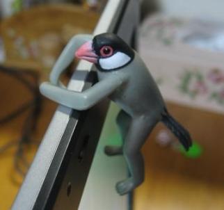 セノリブンチョウ