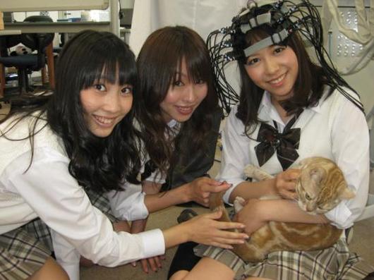 neko5-thumb-530xauto-32066.jpg