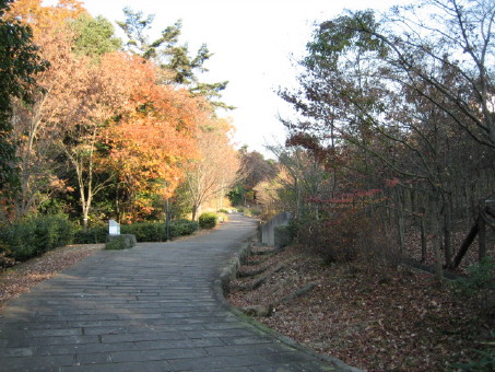 遊歩道