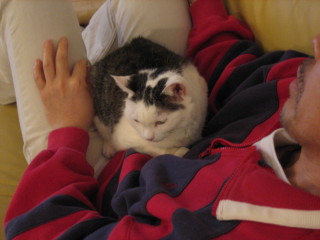 パパ大好きアノ２