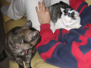 甘えん坊の二人