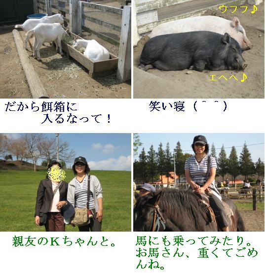 マザー牧場の動物たち