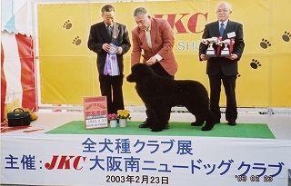 マブ　大阪ショー