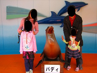 とても早く泳ぐのでびっくりです。