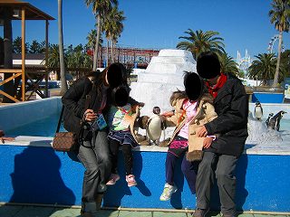ペンギンさん　かわいいでしょ☆