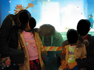 とっても大きなセイウチです。牙がわかりますか?