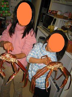 蟹ですーかにっかにっ