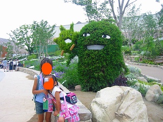 これはどこの植木？？