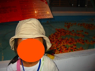 このひよこはどこへ行ったのー？？