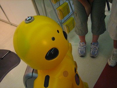 ｗａｋａｍａｒｕ