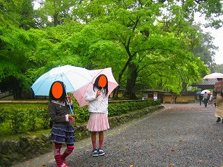 緑がきれい～♪